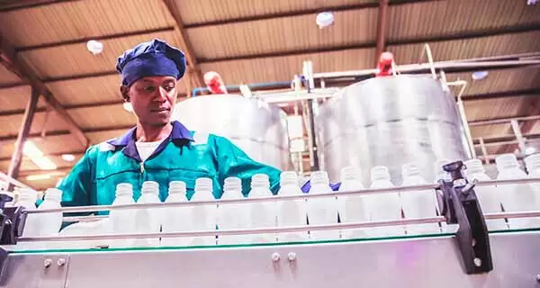 Applicazioni lattiero-casearie